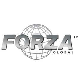 Forza icon